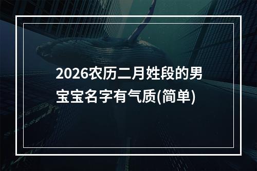 2026农历二月姓段的男宝宝名字有气质(简单)