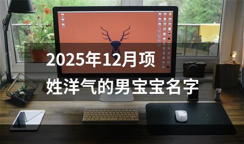 2025年12月项姓洋气的男宝宝名字
