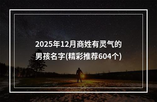 2025年12月商姓有灵气的男孩名字(精彩推荐604个)