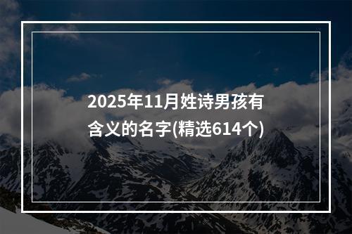 2025年11月姓诗男孩有含义的名字(精选614个)