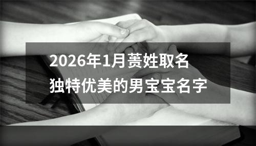 2026年1月蒉姓取名独特优美的男宝宝名字