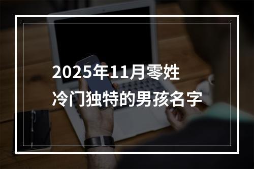 2025年11月零姓冷门独特的男孩名字