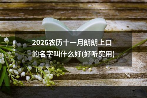 2026农历十一月朗朗上口的名字叫什么好(好听实用)