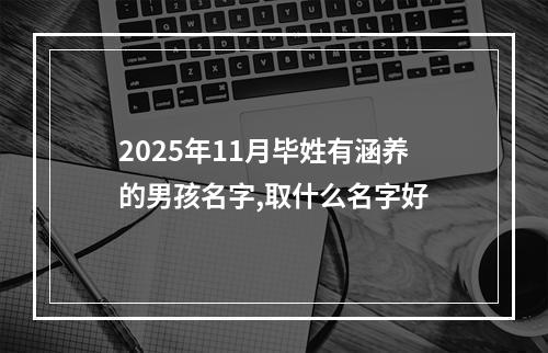 2025年11月毕姓有涵养的男孩名字,取什么名字好
