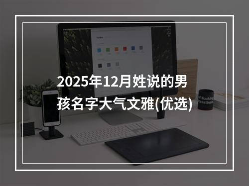 2025年12月姓说的男孩名字大气文雅(优选)