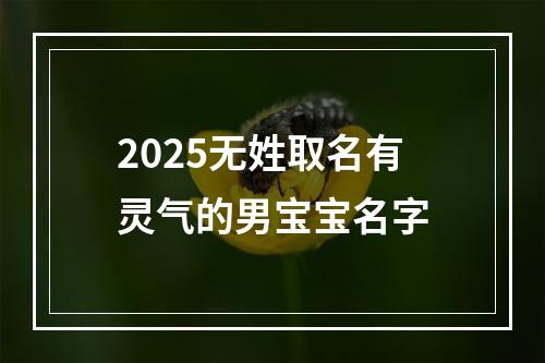 2025无姓取名有灵气的男宝宝名字
