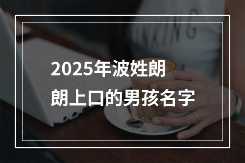 2025年波姓朗朗上口的男孩名字