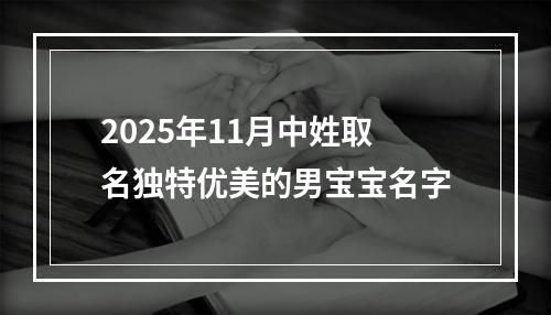 2025年11月中姓取名独特优美的男宝宝名字