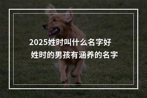 2025姓时叫什么名字好 姓时的男孩有涵养的名字