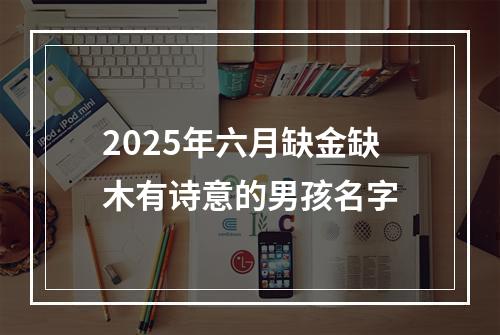 2025年六月缺金缺木有诗意的男孩名字