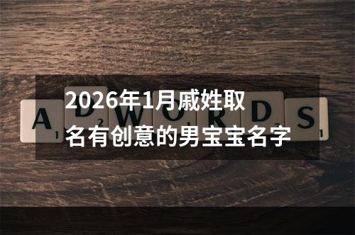 2026年1月戚姓取名有创意的男宝宝名字
