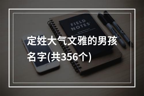 定姓大气文雅的男孩名字(共356个)
