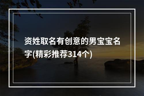资姓取名有创意的男宝宝名字(精彩推荐314个)