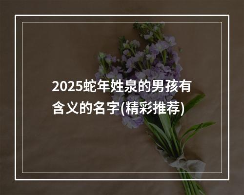 2025蛇年姓泉的男孩有含义的名字(精彩推荐)