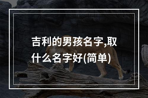 吉利的男孩名字,取什么名字好(简单)