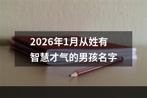 2026年1月从姓有智慧才气的男孩名字