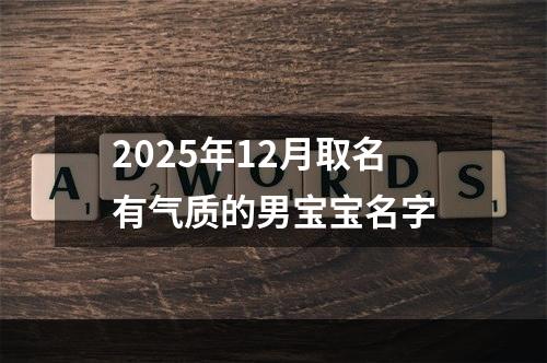 2025年12月取名有气质的男宝宝名字