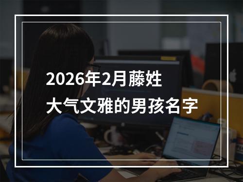 2026年2月藤姓大气文雅的男孩名字
