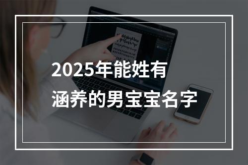 2025年能姓有涵养的男宝宝名字