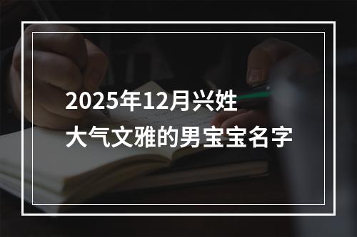 2025年12月兴姓大气文雅的男宝宝名字