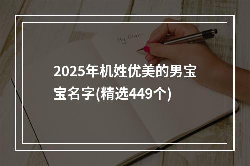 2025年机姓优美的男宝宝名字(精选449个)