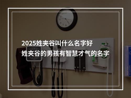 2025姓夹谷叫什么名字好 姓夹谷的男孩有智慧才气的名字