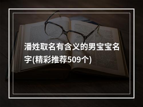 潘姓取名有含义的男宝宝名字(精彩推荐509个)