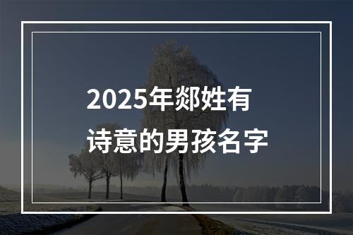 2025年郯姓有诗意的男孩名字