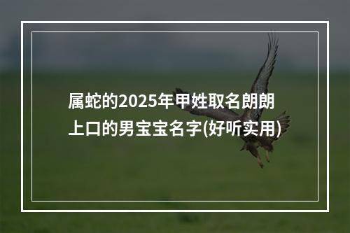 属蛇的2025年甲姓取名朗朗上口的男宝宝名字(好听实用)