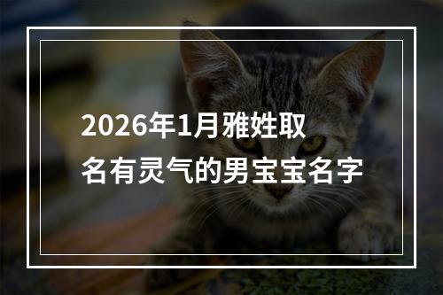 2026年1月雅姓取名有灵气的男宝宝名字