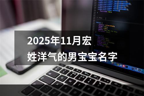 2025年11月宏姓洋气的男宝宝名字
