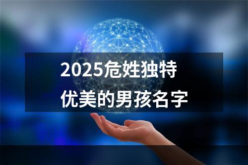 2025危姓独特优美的男孩名字