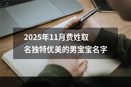 2025年11月费姓取名独特优美的男宝宝名字