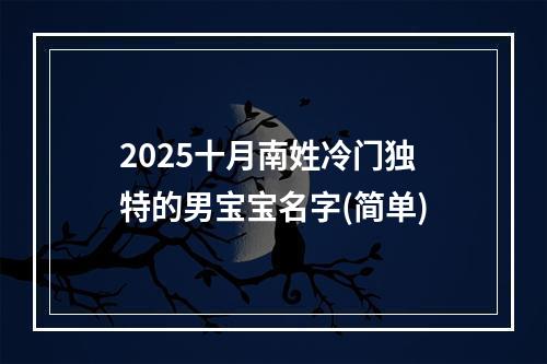 2025十月南姓冷门独特的男宝宝名字(简单)