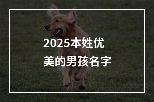 2025本姓优美的男孩名字