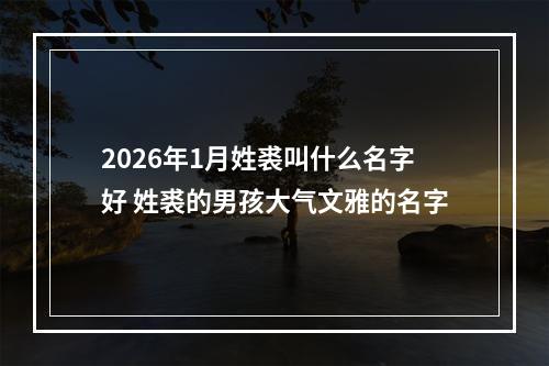 2026年1月姓裘叫什么名字好 姓裘的男孩大气文雅的名字