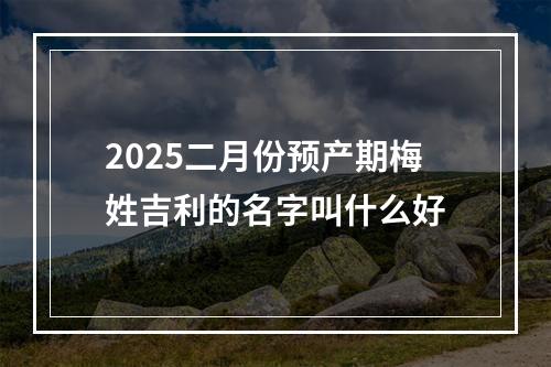2025二月份预产期梅姓吉利的名字叫什么好