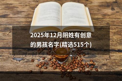 2025年12月阴姓有创意的男孩名字(精选515个)