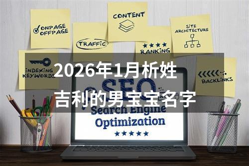 2026年1月析姓吉利的男宝宝名字