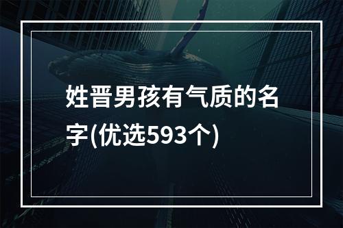 姓晋男孩有气质的名字(优选593个)