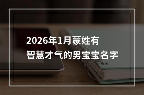 2026年1月蒙姓有智慧才气的男宝宝名字