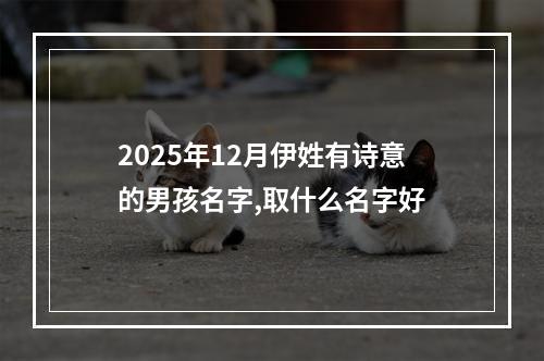 2025年12月伊姓有诗意的男孩名字,取什么名字好