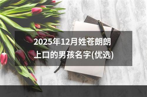 2025年12月姓苍朗朗上口的男孩名字(优选)