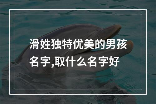 滑姓独特优美的男孩名字,取什么名字好