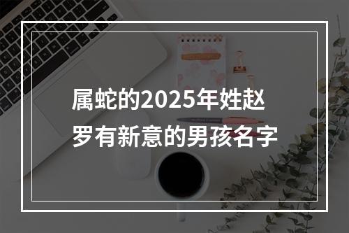 属蛇的2025年姓赵罗有新意的男孩名字