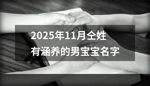 2025年11月仝姓有涵养的男宝宝名字