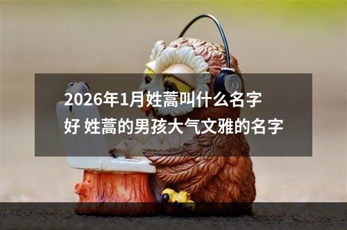 2026年1月姓蒿叫什么名字好 姓蒿的男孩大气文雅的名字