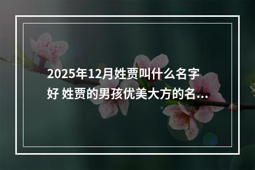 2025年12月姓贾叫什么名字好 姓贾的男孩优美大方的名字