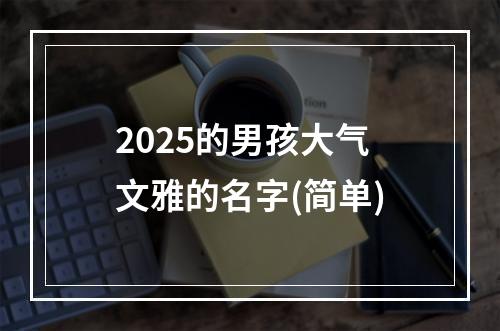 2025的男孩大气文雅的名字(简单)