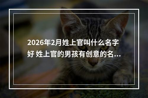 2026年2月姓上官叫什么名字好 姓上官的男孩有创意的名字